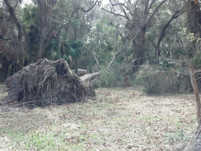 Oatland Hurricane-10.jpg